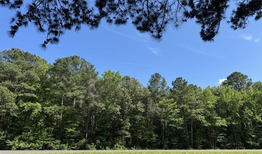 76 B/C LANKFORD Hwy Lot 76, Accomac, VA 23301 - 0 Beds, 0 Bath