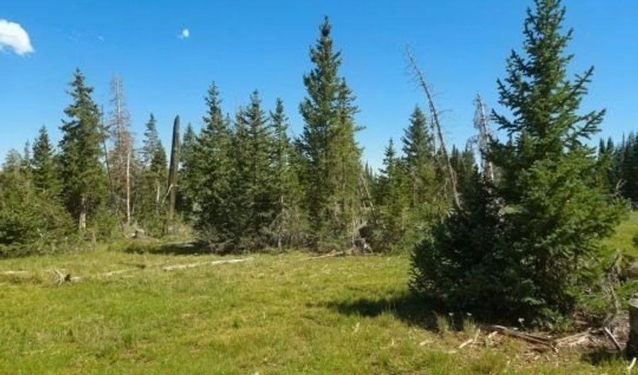2397 E Rainbow Ln, Brian Head, UT 84719 - 0 Beds, 0 Bath