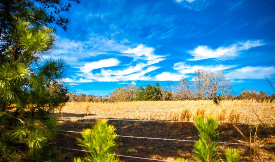 MISTLETOE RD lot 9, Appling, GA 30802 - 0 Beds, 0 Bath