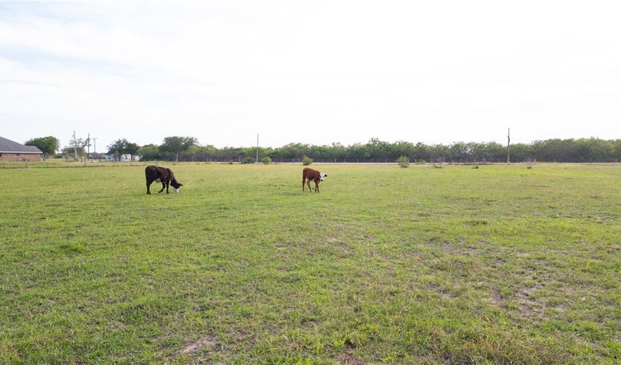 415 County Road 150, Alice, TX 78332 - 0 Beds, 0 Bath