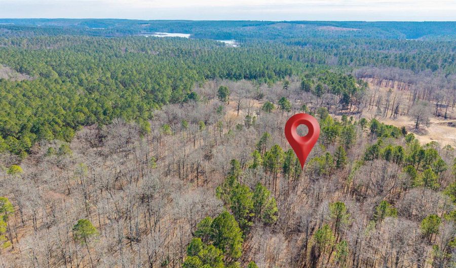Brushy Cemetery Road, Amity, AR 71921 - 0 Beds, 0 Bath