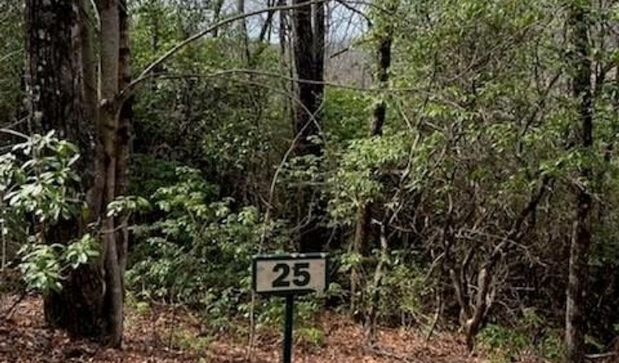 25 Sweetwater Ridge Rd, Balsam Grove, NC 28708 - 0 Beds, 0 Bath