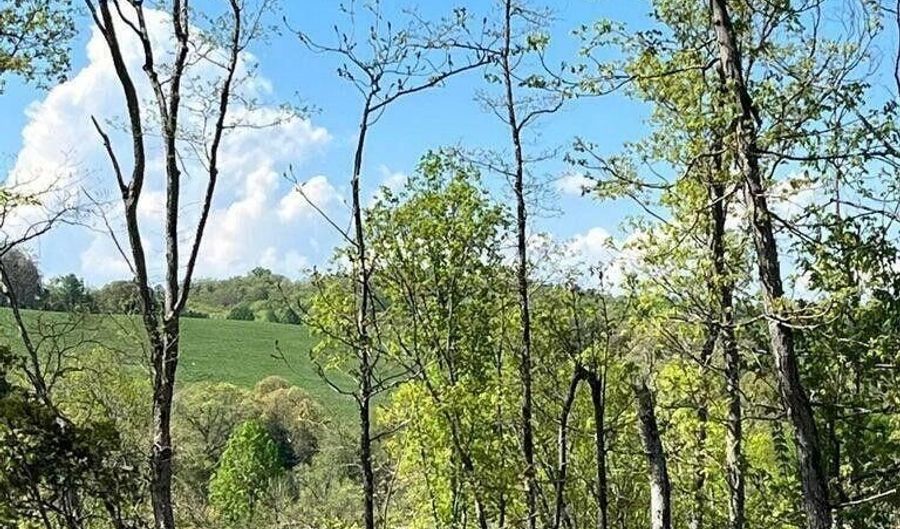 Tract 2 Mill Creek Rd, Andersonville, TN 37705 - 0 Beds, 0 Bath
