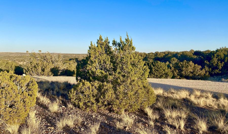 Tbd Co Rd 5062 2.39 Acres, Concho, AZ 85924 - 0 Beds, 0 Bath