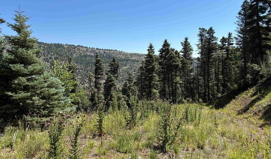 1435 Clarke Mountain Ln, Antonito, CO 81120 - 0 Beds, 0 Bath