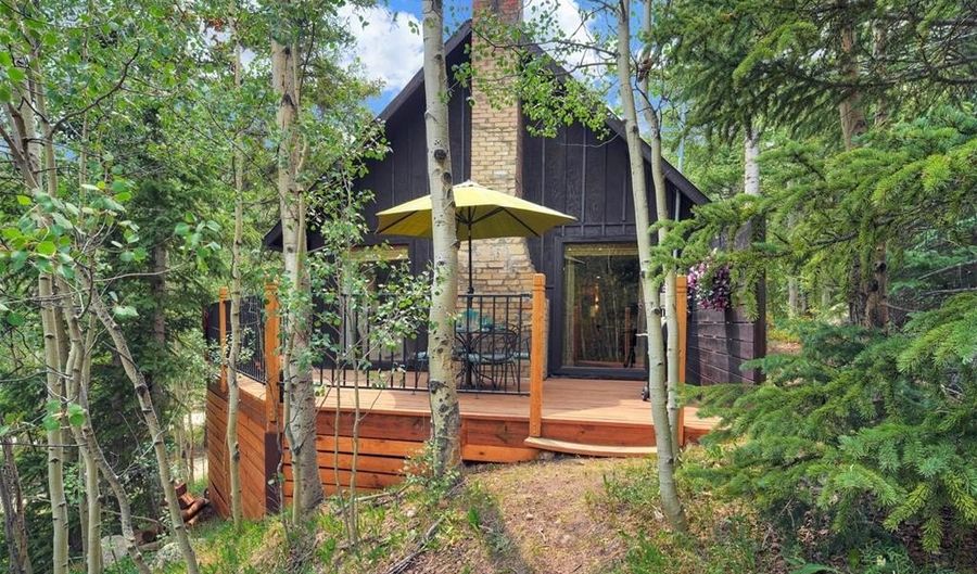227 Roberts Rd, Alma, CO 80420 - 3 Beds, 2 Bath