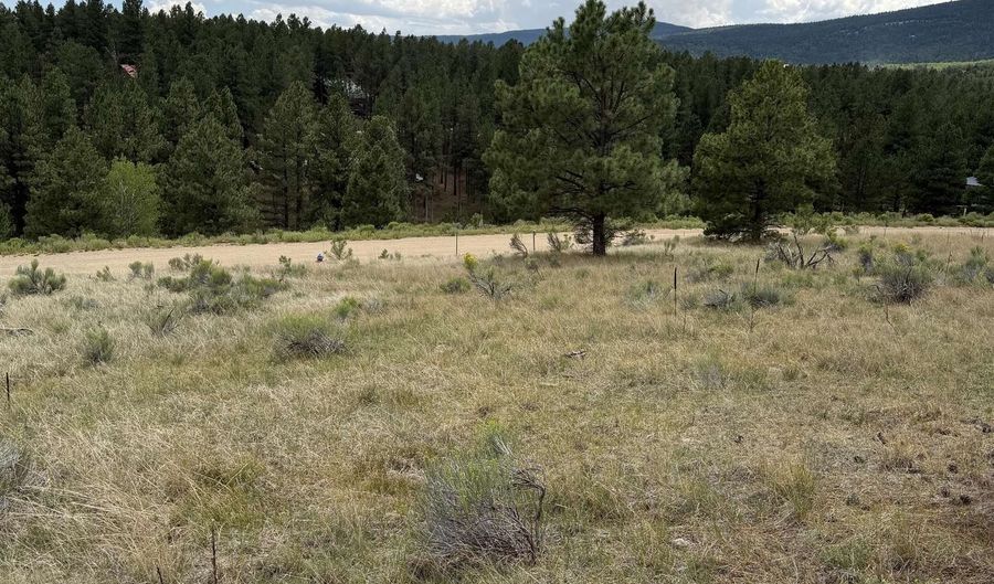 1217 Colonial Trl, Angel Fire, NM 87710 - 0 Beds, 0 Bath