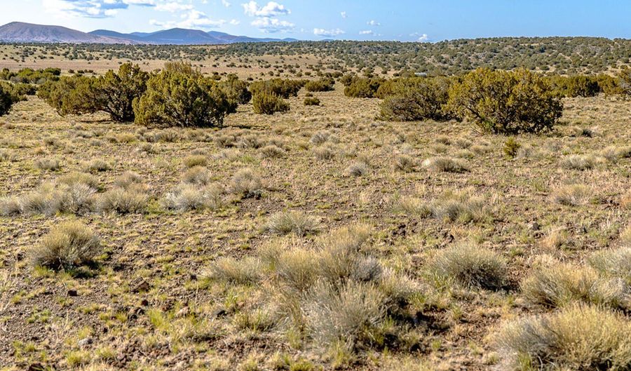 Co Rd 5106 Lot # 2 1.1 Acres, Concho, AZ 85924 - 0 Beds, 0 Bath
