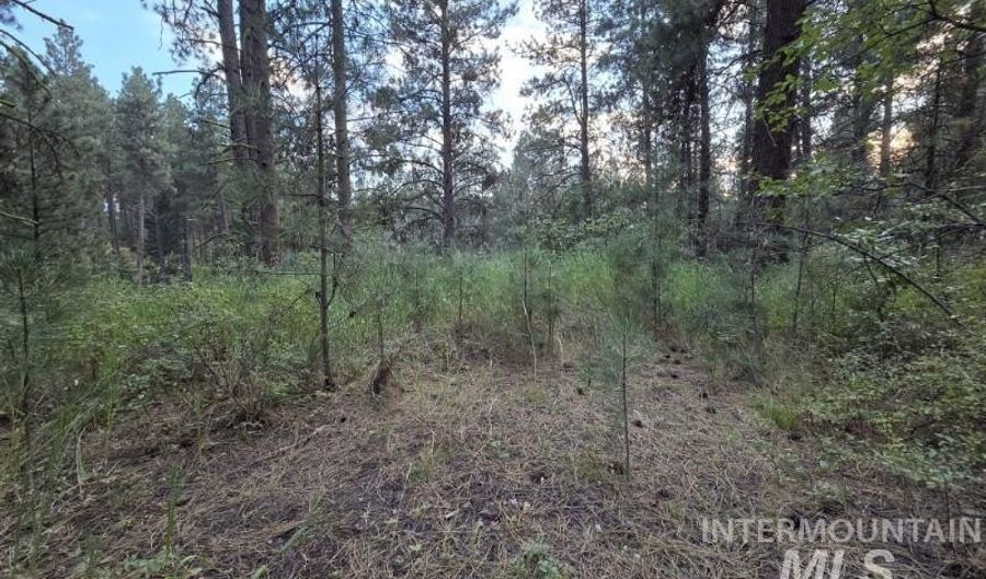 1291 Crown Point Pkwy, Cascade, ID 83611 - 0 Beds, 0 Bath