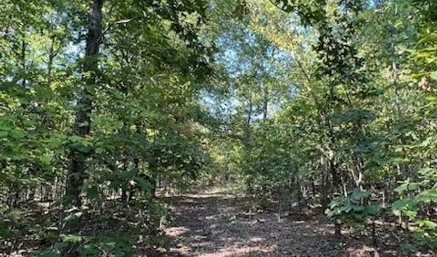 County Road 118, Annapolis, MO 63620 - 0 Beds, 0 Bath