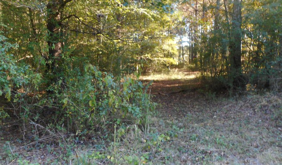 E-S Drive, Braxton, MS 39044 - 0 Beds, 0 Bath