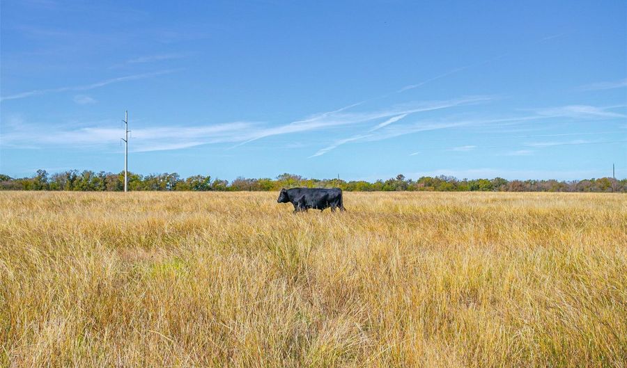 County Road 410, Alvarado, TX 76009 - 0 Beds, 0 Bath