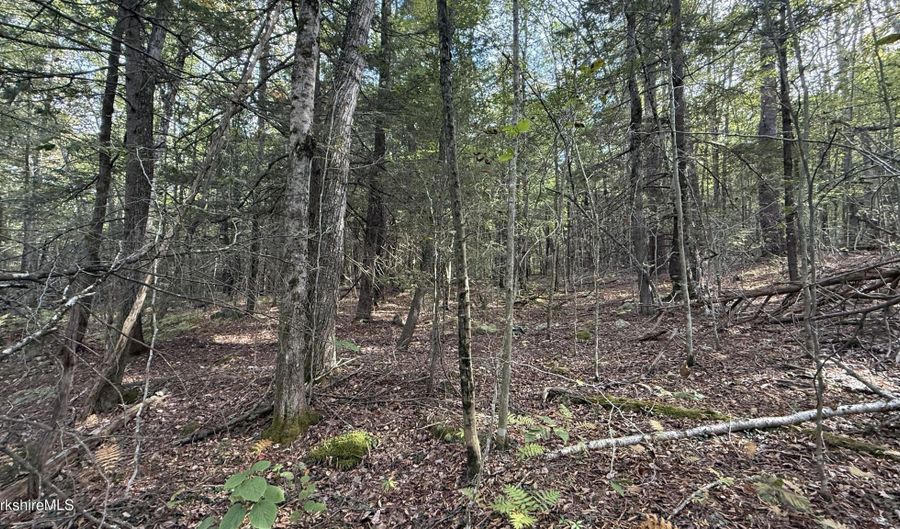 LOT 1B HOPKINS Ln, Becket, MA 01223 - 0 Beds, 0 Bath
