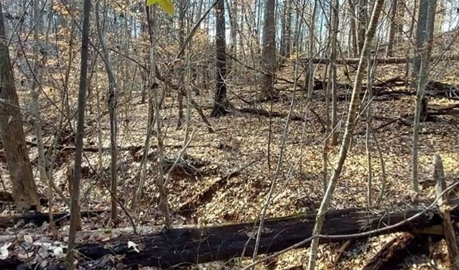 TBD Bassett Heights Ext, Bassett, VA 24055 - 0 Beds, 0 Bath