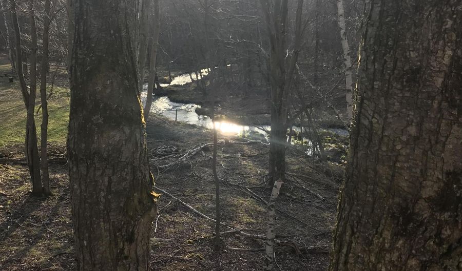 Lot 119 Mountain Rd, Albrightsville, PA 18210 - 0 Beds, 0 Bath