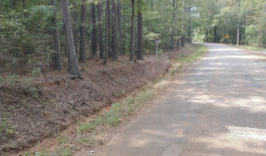 334 SERENITY Ln Lot 1, Alpine, AL 35014 - 0 Beds, 0 Bath