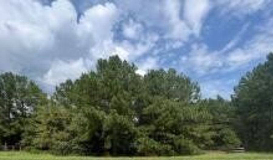 4686-4712 DOUBLE BRANCH Rd, Lincolnton, GA 30817 - 0 Beds, 0 Bath