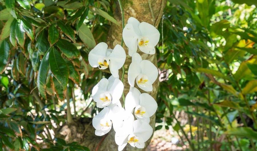 265 HAHANA Rd, Haiku, HI 96708 - 4 Beds, 3 Bath