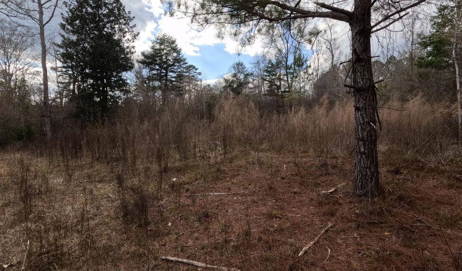 Saint John Road, Braxton, MS 39044 - 0 Beds, 0 Bath