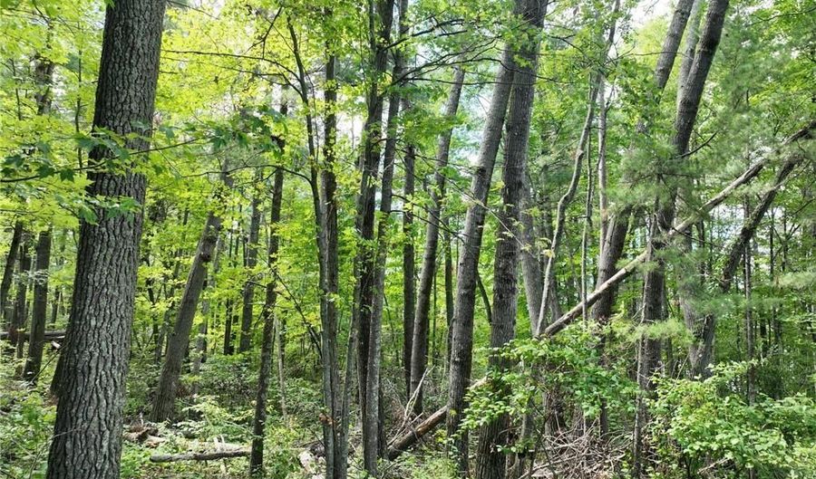 Tract 3 Lake May Drive NW, Akeley, MN 56433 - 0 Beds, 0 Bath