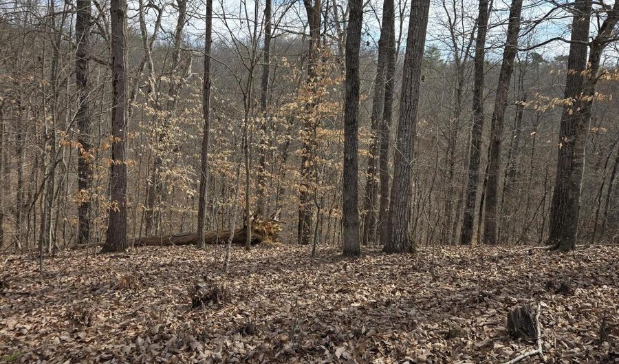Stoneway Court lot 937, Baneberry, TN 37890 - 0 Beds, 0 Bath