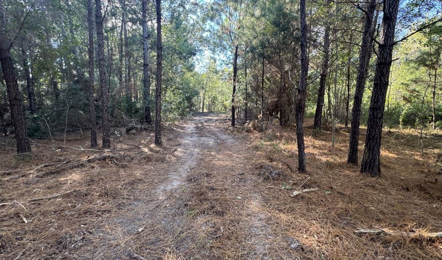 7190 Cantania Rd, Bay St. Louis, MS 39520 - 0 Beds, 0 Bath