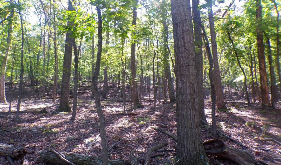 BIG HORN TRAIL unit E-16 E-16, Augusta, WV 26704 - 0 Beds, 0 Bath