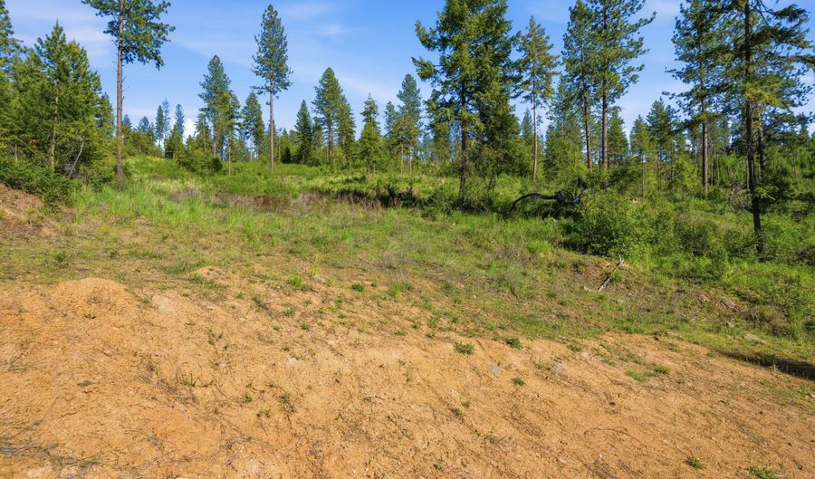 NNA Stone Rd Lot 5 20.0 Acres, Blanchard, ID 83804 - 0 Beds, 0 Bath
