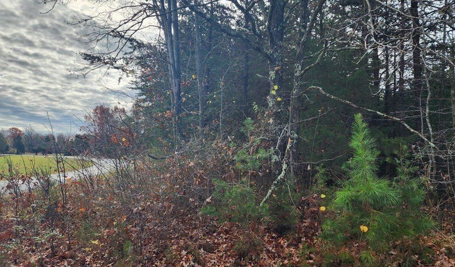 Wildway Rd, Appomattox, VA 24522 - 0 Beds, 0 Bath