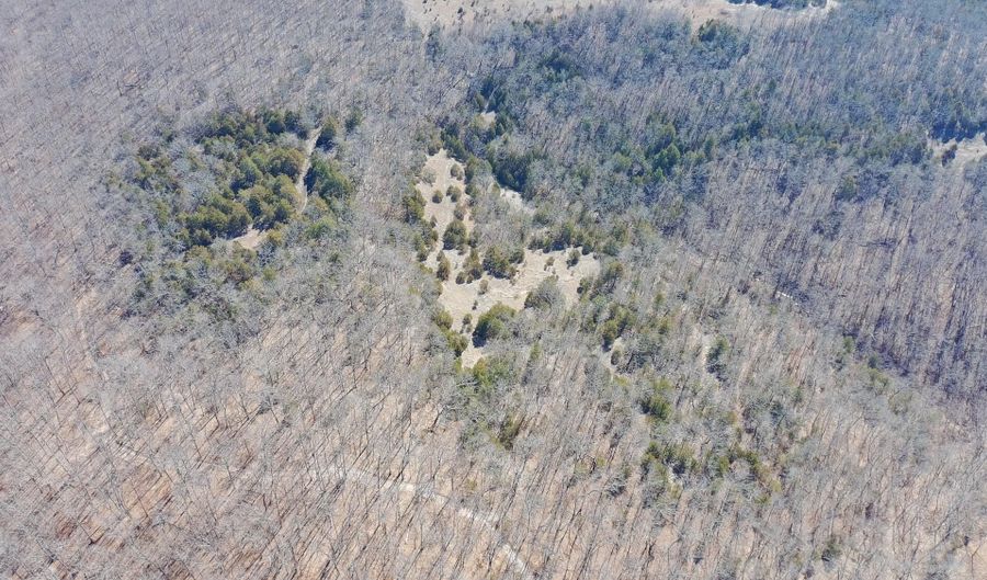 Rt 1 County Rd 14-531, Ava, MO 65608 - 0 Beds, 0 Bath