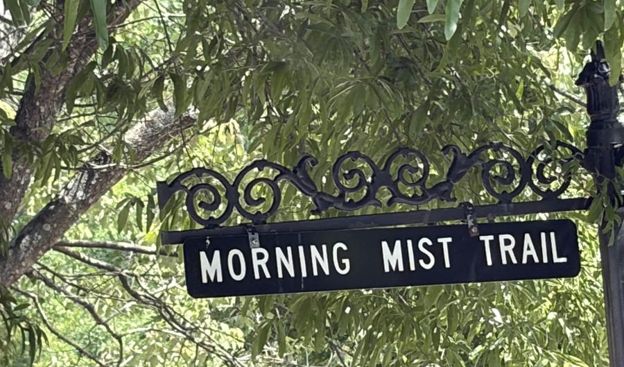 136 MORNING MIST Trl Lot 509, Alabaster, AL 35007 - 0 Beds, 0 Bath