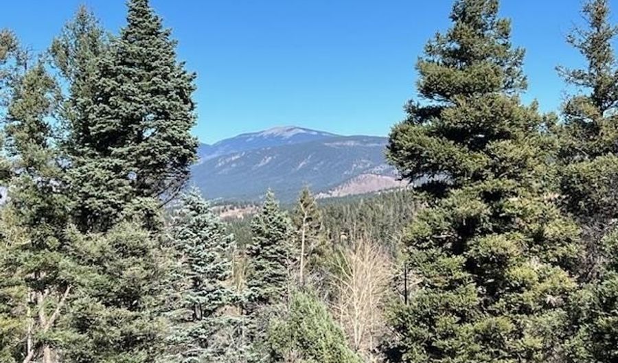 Vail Loop lot 373, Angel Fire, NM 87710 - 0 Beds, 0 Bath