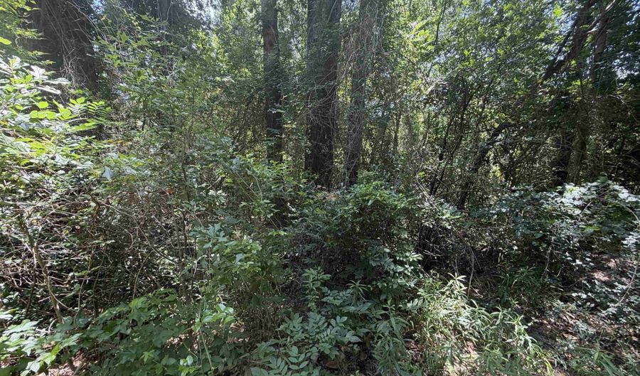 21123 LOOP Rd Lot 1, Andalusia, AL 36421 - 0 Beds, 0 Bath