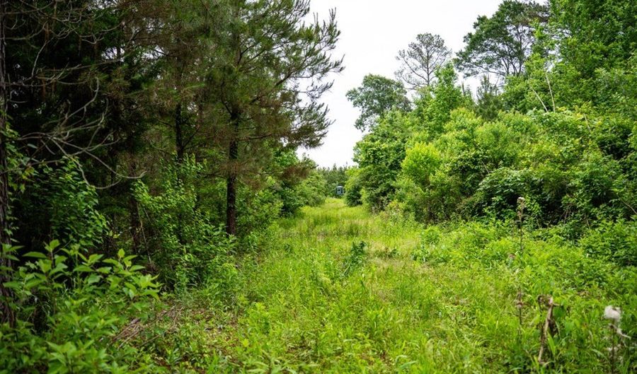 7400 Amon Hill Rd, Bastrop, LA 71220 - 0 Beds, 0 Bath
