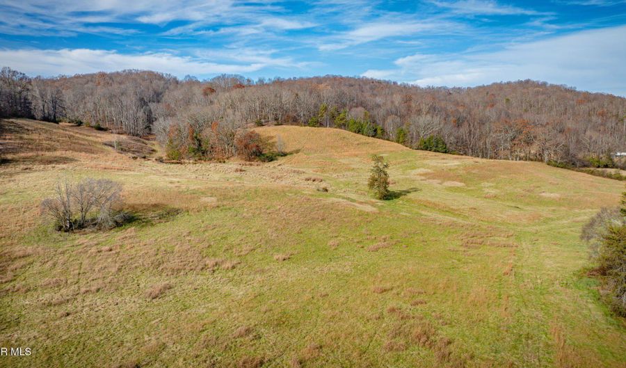 1520 Brittontown Rd, Afton, TN 37616 - 0 Beds, 0 Bath