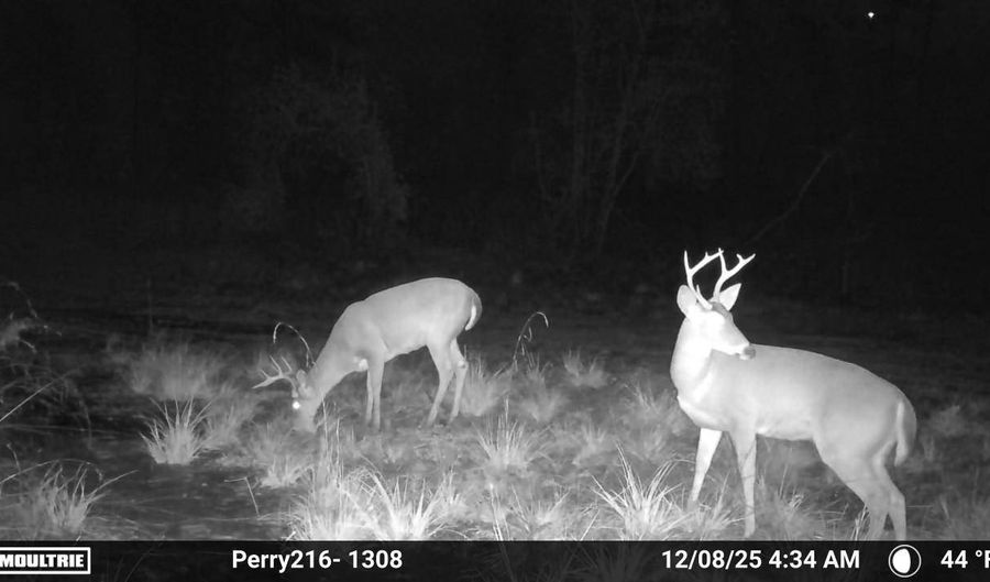 US Hwy 98, Beaumont, MS 39423 - 0 Beds, 0 Bath