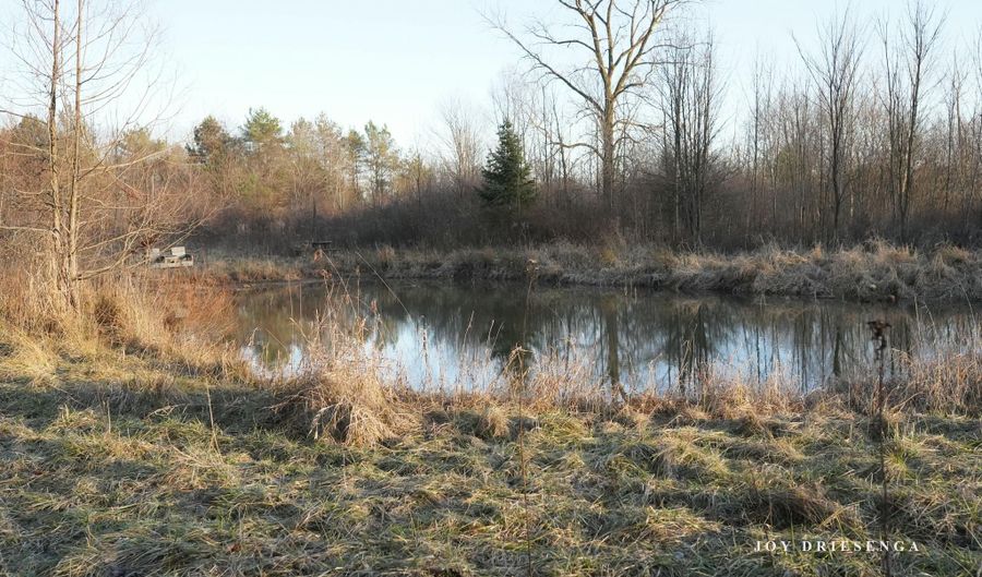 V/L Fawn Path Parcel B, Allegan, MI 49010 - 0 Beds, 0 Bath