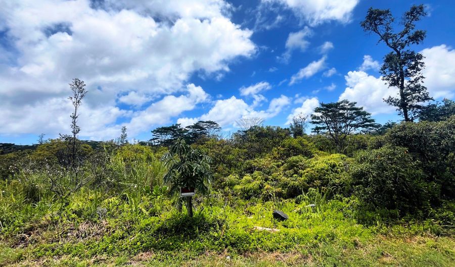 9 TH AVE KALAUNU, Keaau, HI 96749 - 0 Beds, 0 Bath