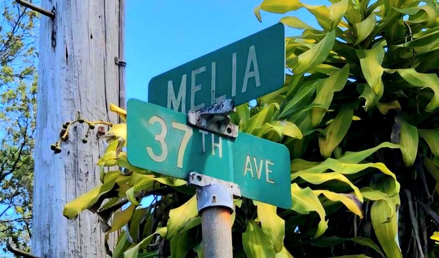16-1734 37TH Ave, Keaau, HI 96749 - 0 Beds, 0 Bath