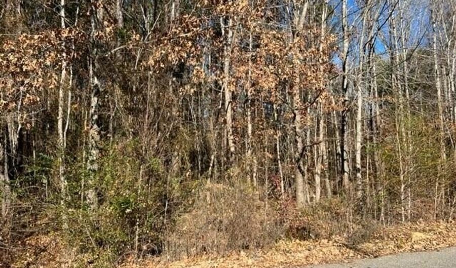 Tbd Parker Street, Ahoskie, NC 27910 - 0 Beds, 0 Bath