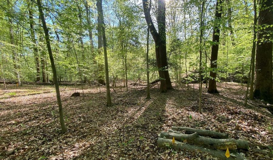 HIDDEN VALLEY ROAD, Accokeek, MD 20607 - 0 Beds, 0 Bath