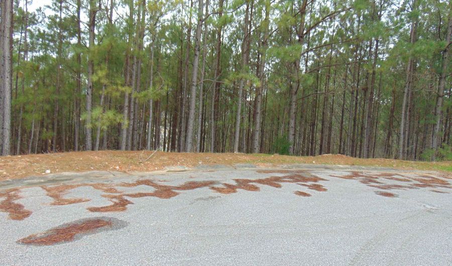 1208 GRANDE VIEW Ln 803, Alabaster, AL 35114 - 0 Beds, 0 Bath