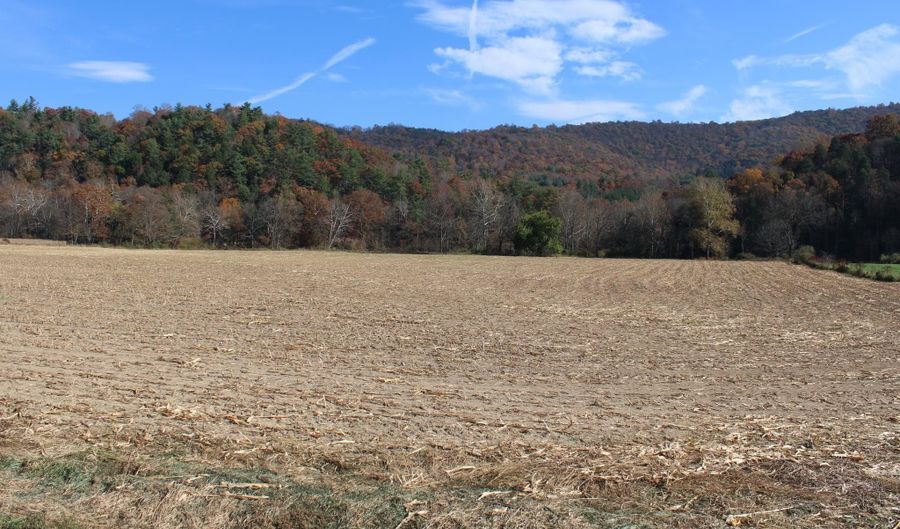 3749 STATE ROAD 259, Baker, WV 26801 - 0 Beds, 0 Bath