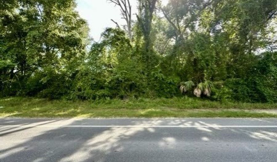 S Main St, Bell, FL 32619 - 0 Beds, 0 Bath
