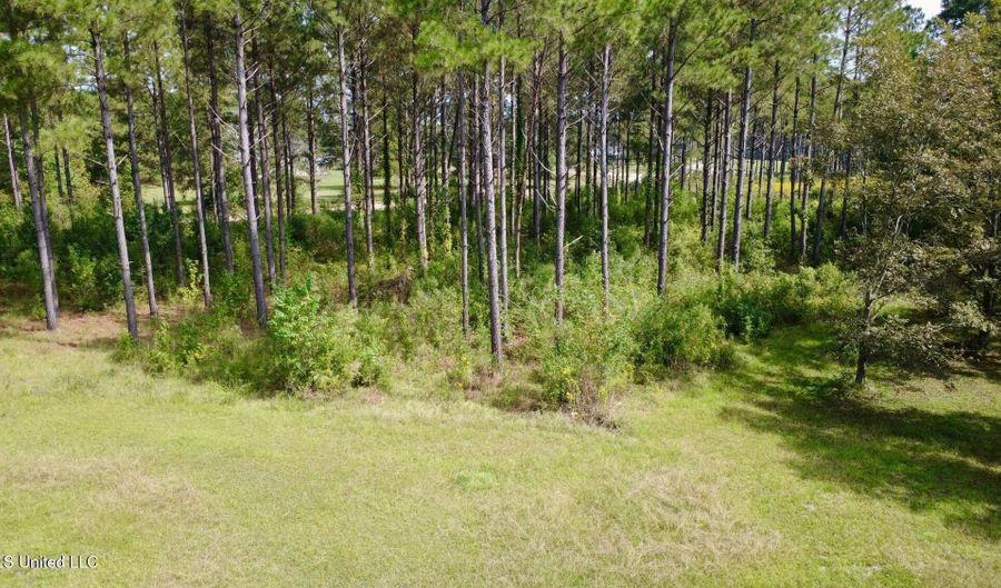 2423 A SE Lincoln Rd, Brookhaven, MS 39601 - 0 Beds, 0 Bath