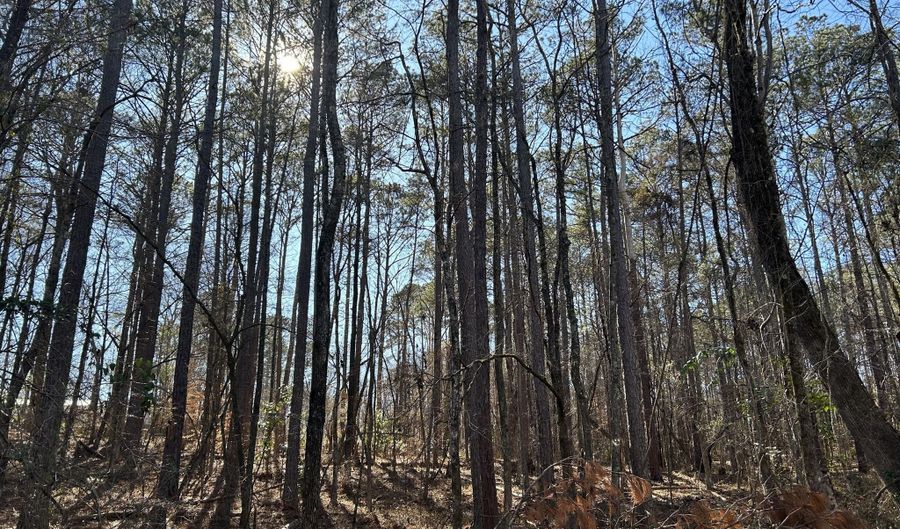 N Forty lot 2, Alexander City, AL 35010 - 0 Beds, 0 Bath