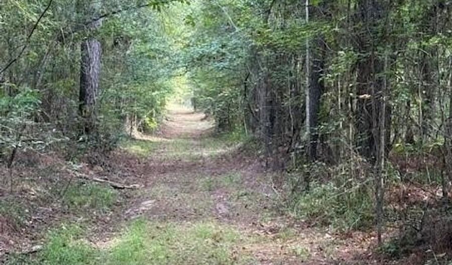 000 Highway 615 Hwy, Haynesville, LA 71038 - 0 Beds, 0 Bath