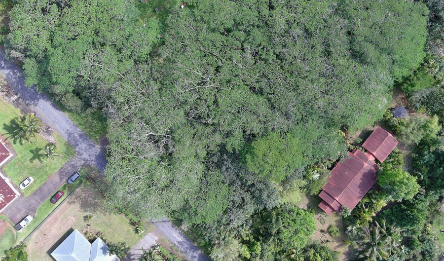 16 TH Ave, Keaau, HI 96749 - 0 Beds, 0 Bath