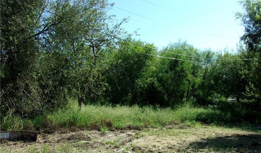 2007 Hermosillo Ave, Alton, TX 78572 - 3 Beds, 2 Bath