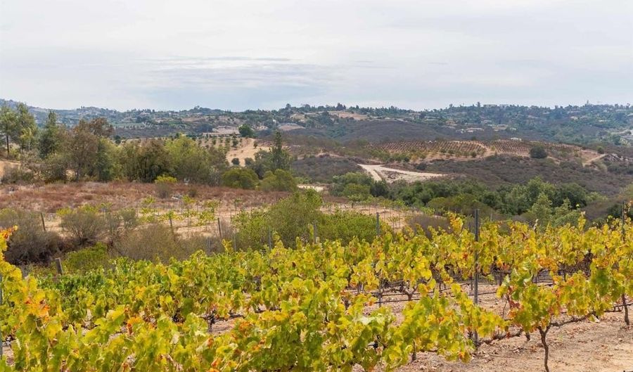 1738 Via De Lago, Fallbrook, CA 92028 - 0 Beds, 0 Bath